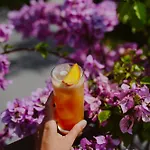 Limone Limone sul Garda